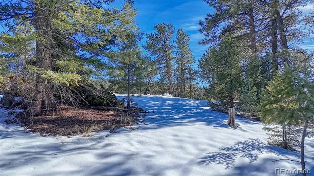 79 Huntsman Circle Florissant, CO 80816