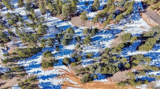 79 Huntsman Circle Florissant, CO 80816