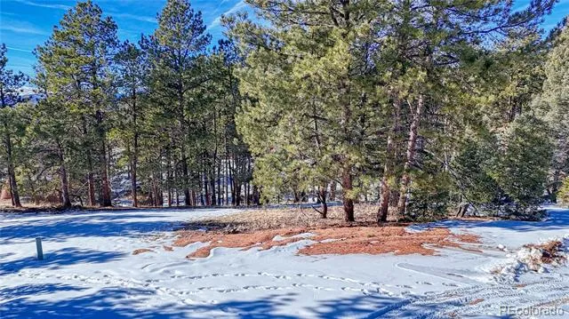 79 Huntsman Circle Florissant, CO 80816