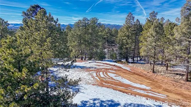 79 Huntsman Circle Florissant, CO 80816