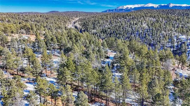 79 Huntsman Circle Florissant, CO 80816