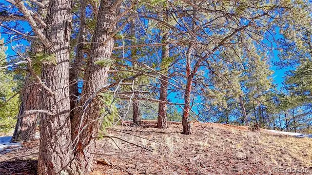 79 Huntsman Circle Florissant, CO 80816