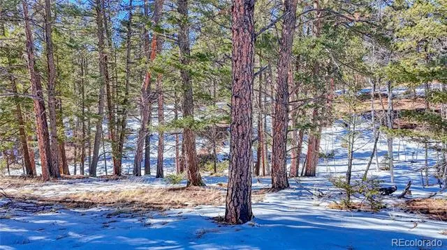 79 Huntsman Circle Florissant, CO 80816