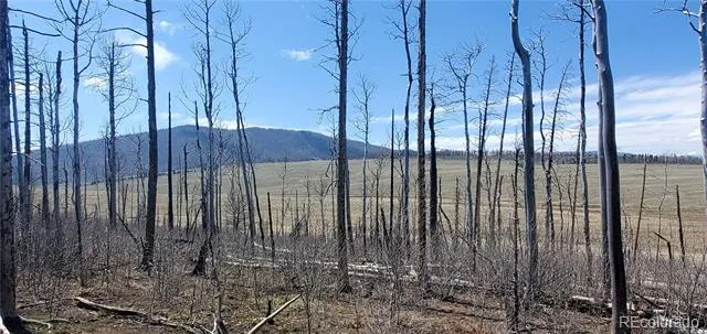 2398 Petito Drive Fort Garland, CO 81133
