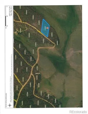 2398 Petito Drive Fort Garland, CO 81133