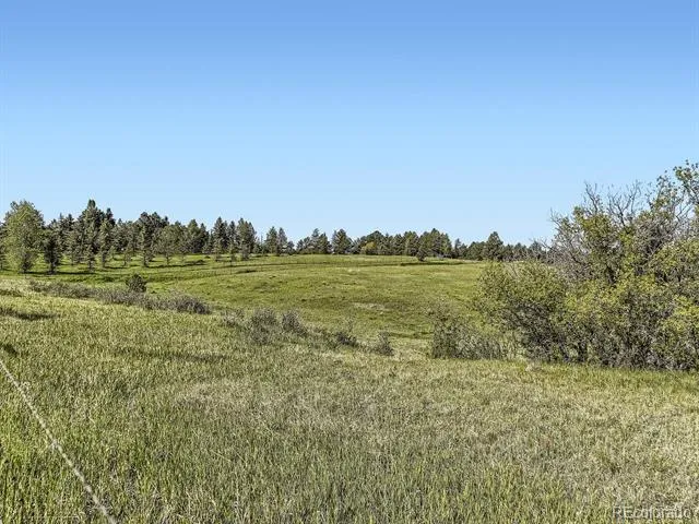 104 Bill Davis Road Franktown, CO 80116