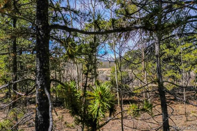 414 Wheat Way Fairplay, CO 80440
