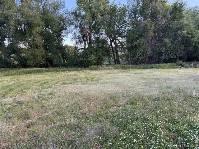 6608 W County Road 20 Loveland, CO 80537