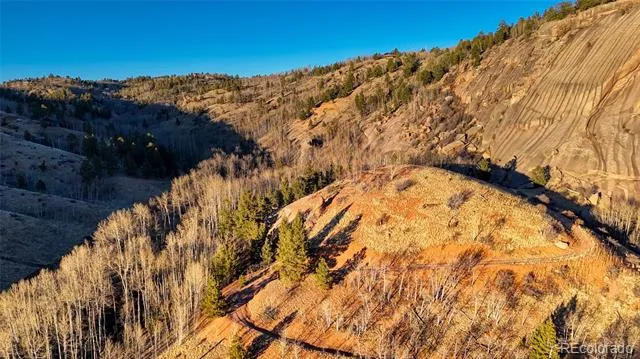 524 Buckhorn Road Cripple Creek, CO 80813