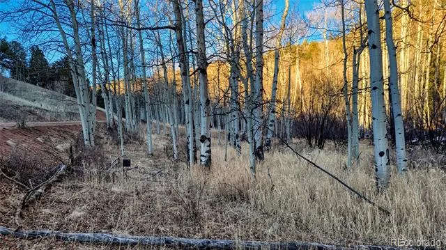 524 Buckhorn Road Cripple Creek, CO 80813