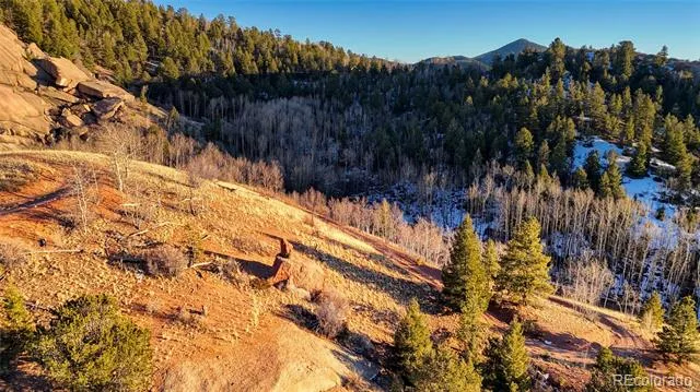 524 Buckhorn Road Cripple Creek, CO 80813
