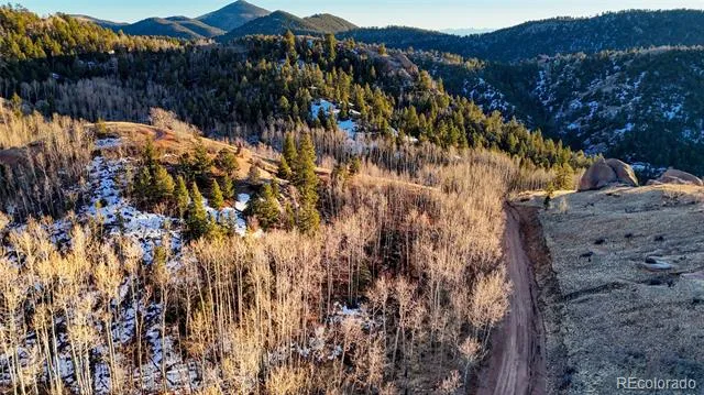 524 Buckhorn Road Cripple Creek, CO 80813
