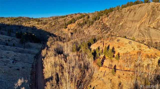 524 Buckhorn Road Cripple Creek, CO 80813