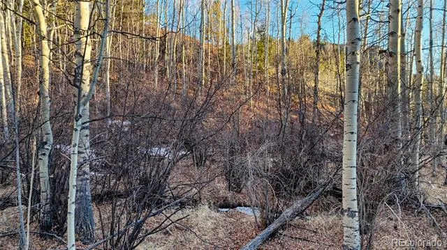 524 Buckhorn Road Cripple Creek, CO 80813