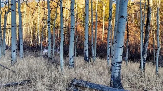 524 Buckhorn Road Cripple Creek, CO 80813
