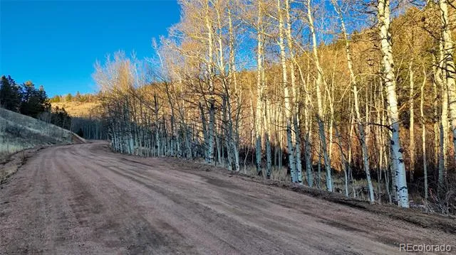 524 Buckhorn Road Cripple Creek, CO 80813