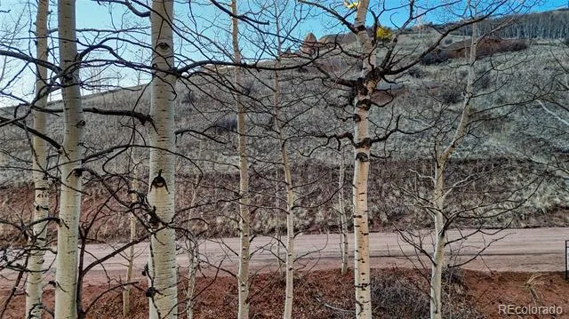 524 Buckhorn Road Cripple Creek, CO 80813
