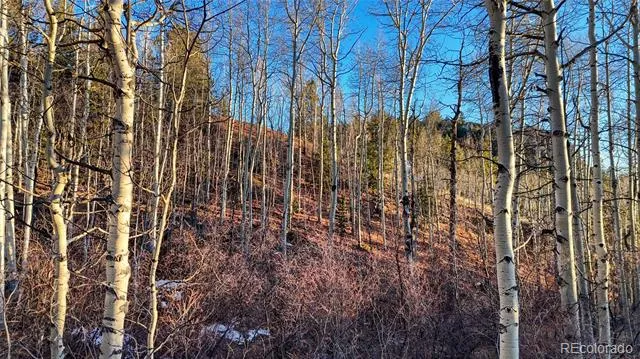 524 Buckhorn Road Cripple Creek, CO 80813