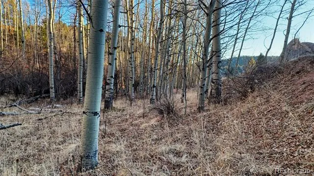 524 Buckhorn Road Cripple Creek, CO 80813