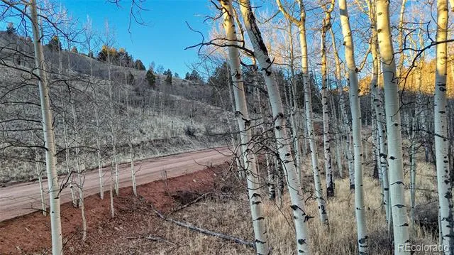 524 Buckhorn Road Cripple Creek, CO 80813