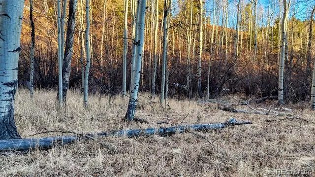 524 Buckhorn Road Cripple Creek, CO 80813