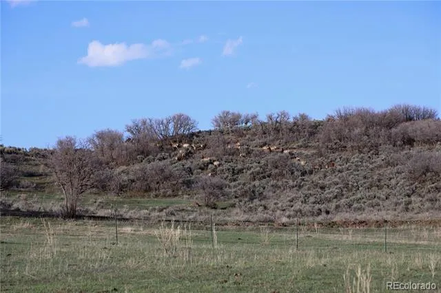 000 County Road 100 Carbondale, CO 81623