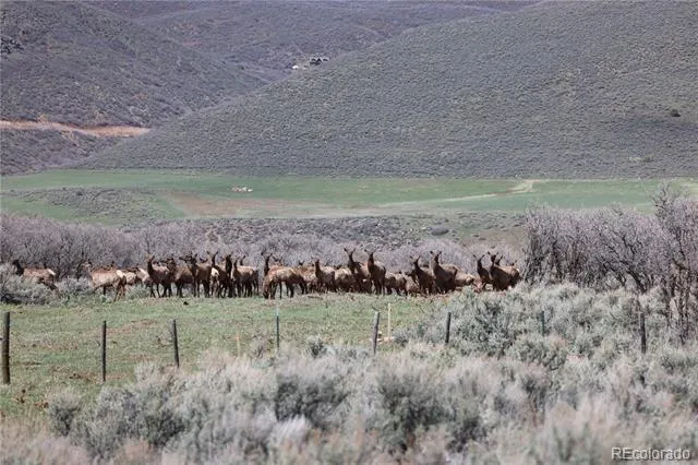 000 County Road 100 Carbondale, CO 81623