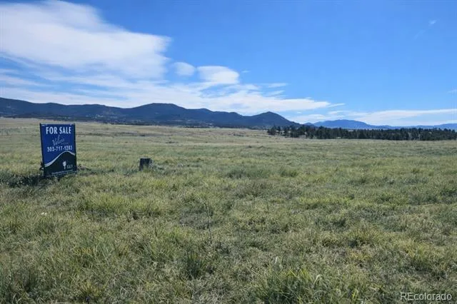 50 Sunset Crater View Hartsel, CO 80449
