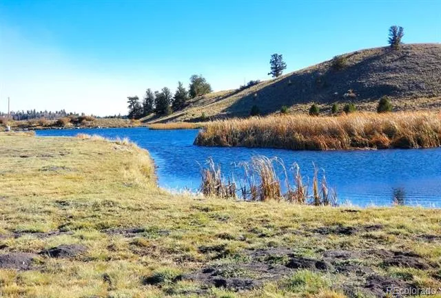 50 Sunset Crater View Hartsel, CO 80449