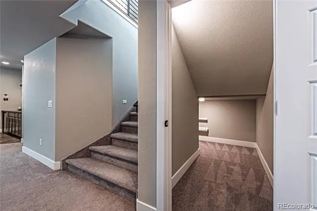 4017 Notch Trail Colorado Springs, CO 80924