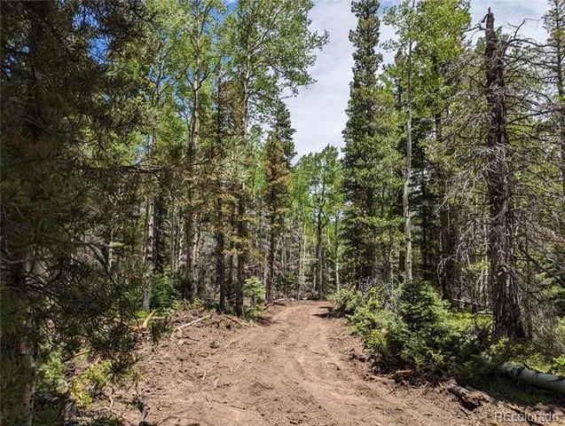 2904 Henderson Drive Fort Garland, CO 81133