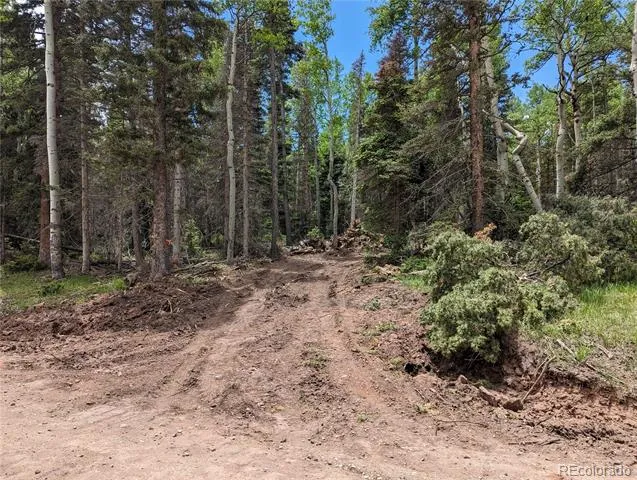 2904 Henderson Drive Fort Garland, CO 81133