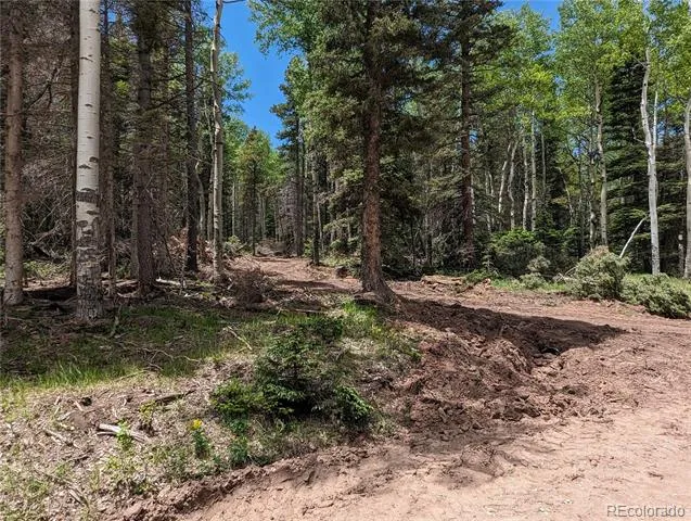 2904 Henderson Drive Fort Garland, CO 81133