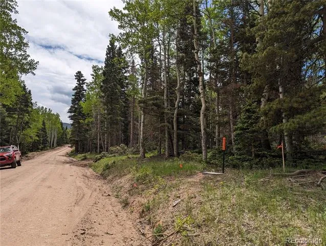 2904 Henderson Drive Fort Garland, CO 81133