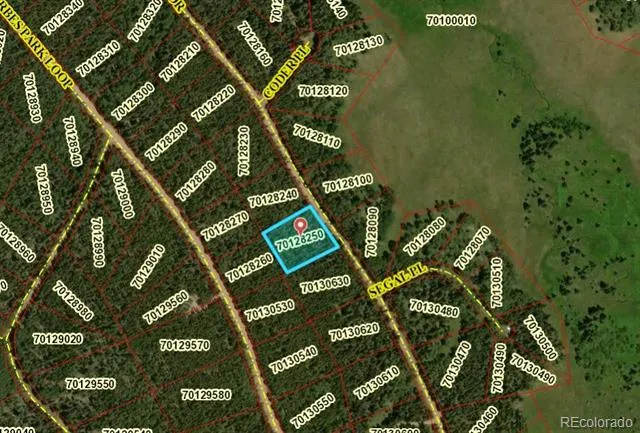 2904 Henderson Drive Fort Garland, CO 81133