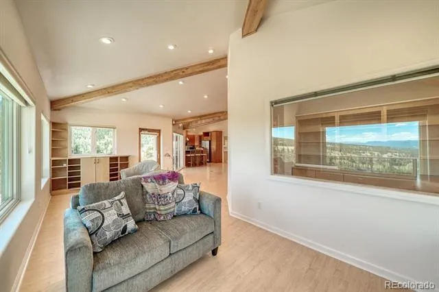 37643 Lake View Drive Buena Vista, CO 81211