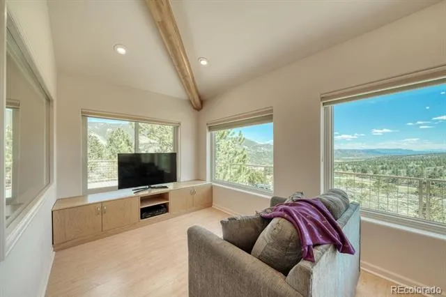 37643 Lake View Drive Buena Vista, CO 81211