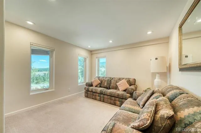 37643 Lake View Drive Buena Vista, CO 81211