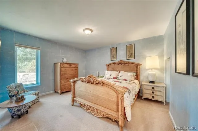 37643 Lake View Drive Buena Vista, CO 81211
