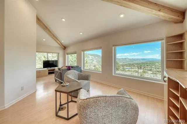 37643 Lake View Drive Buena Vista, CO 81211