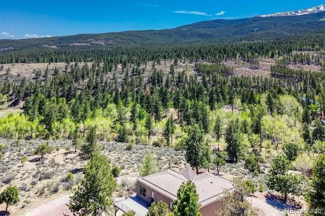 37643 Lake View Drive Buena Vista, CO 81211