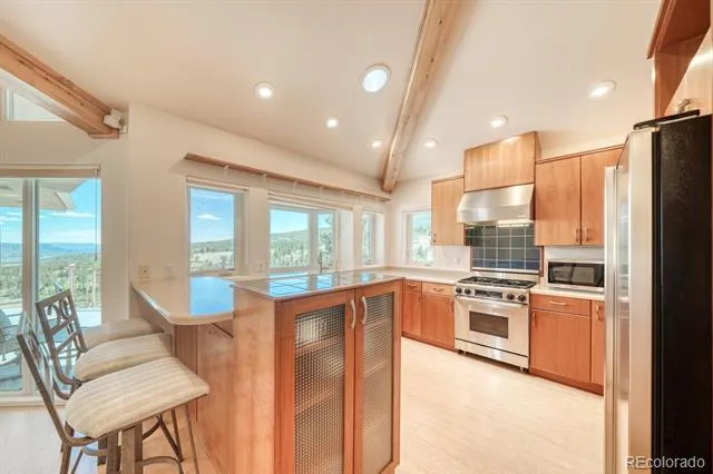 37643 Lake View Drive Buena Vista, CO 81211