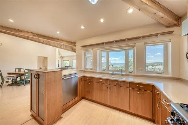 37643 Lake View Drive Buena Vista, CO 81211
