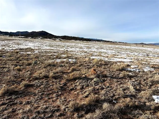 TRACT 4 BOWLING/COBB DIVISION OF LAND Saguache, CO 81143
