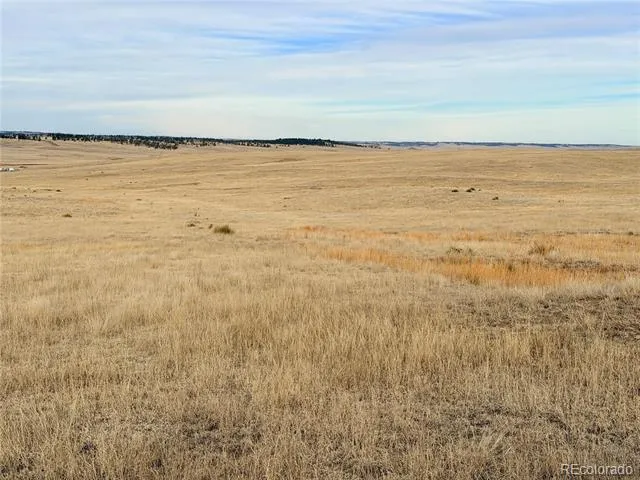 04 County Road 122 Ramah, CO 80832