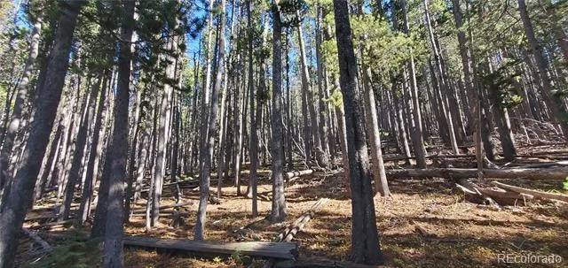 Lot 2682 & 2683 Purnell Lane Fort Garland, CO 81133