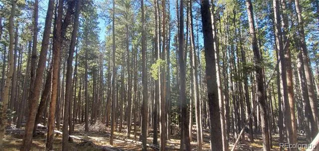 Lot 2682 & 2683 Purnell Lane Fort Garland, CO 81133