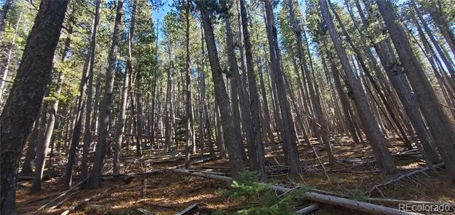 Lot 2682 & 2683 Purnell Lane Fort Garland, CO 81133