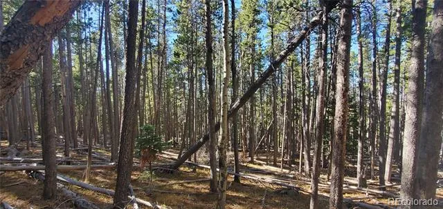Lot 2682 & 2683 Purnell Lane Fort Garland, CO 81133