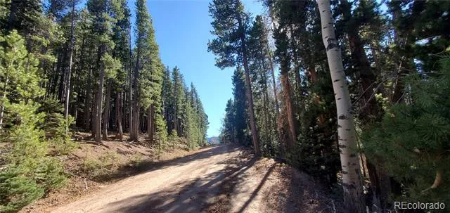 Lot 2682 & 2683 Purnell Lane Fort Garland, CO 81133